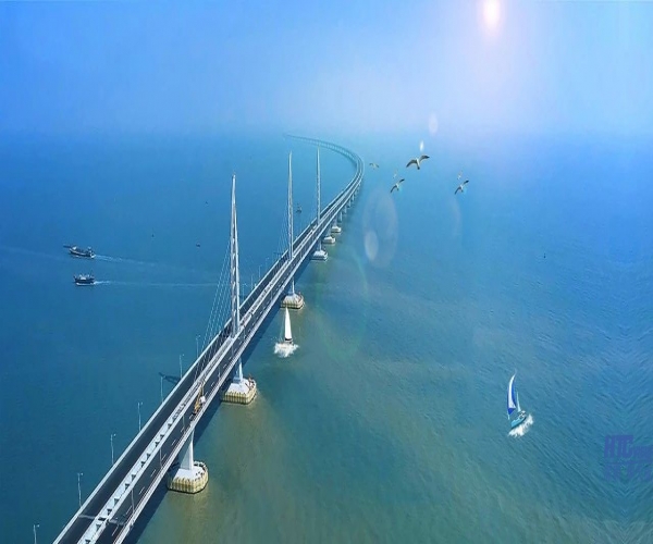 百乐博blb与广东高速一同成长！