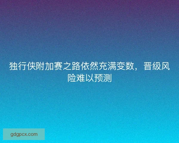 独行侠附加赛之路依然充满变数，晋级风险难以预测