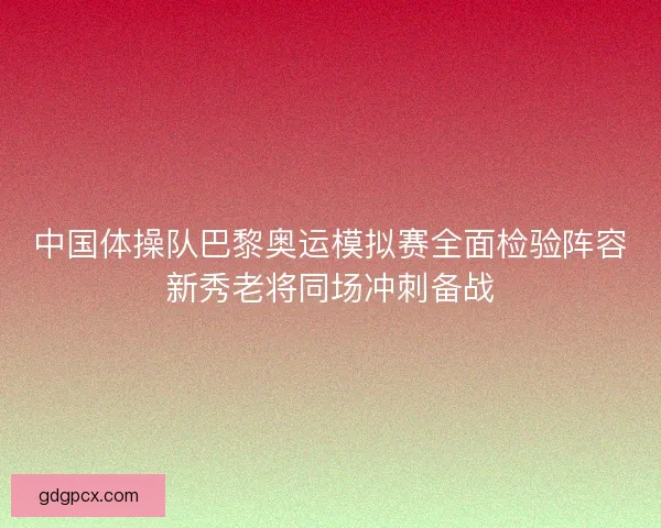 中国体操队巴黎奥运模拟赛全面检验阵容新秀老将同场冲刺备战 中国体操队巴黎奥运模拟赛全面检验阵容新秀老将同场冲刺备战
